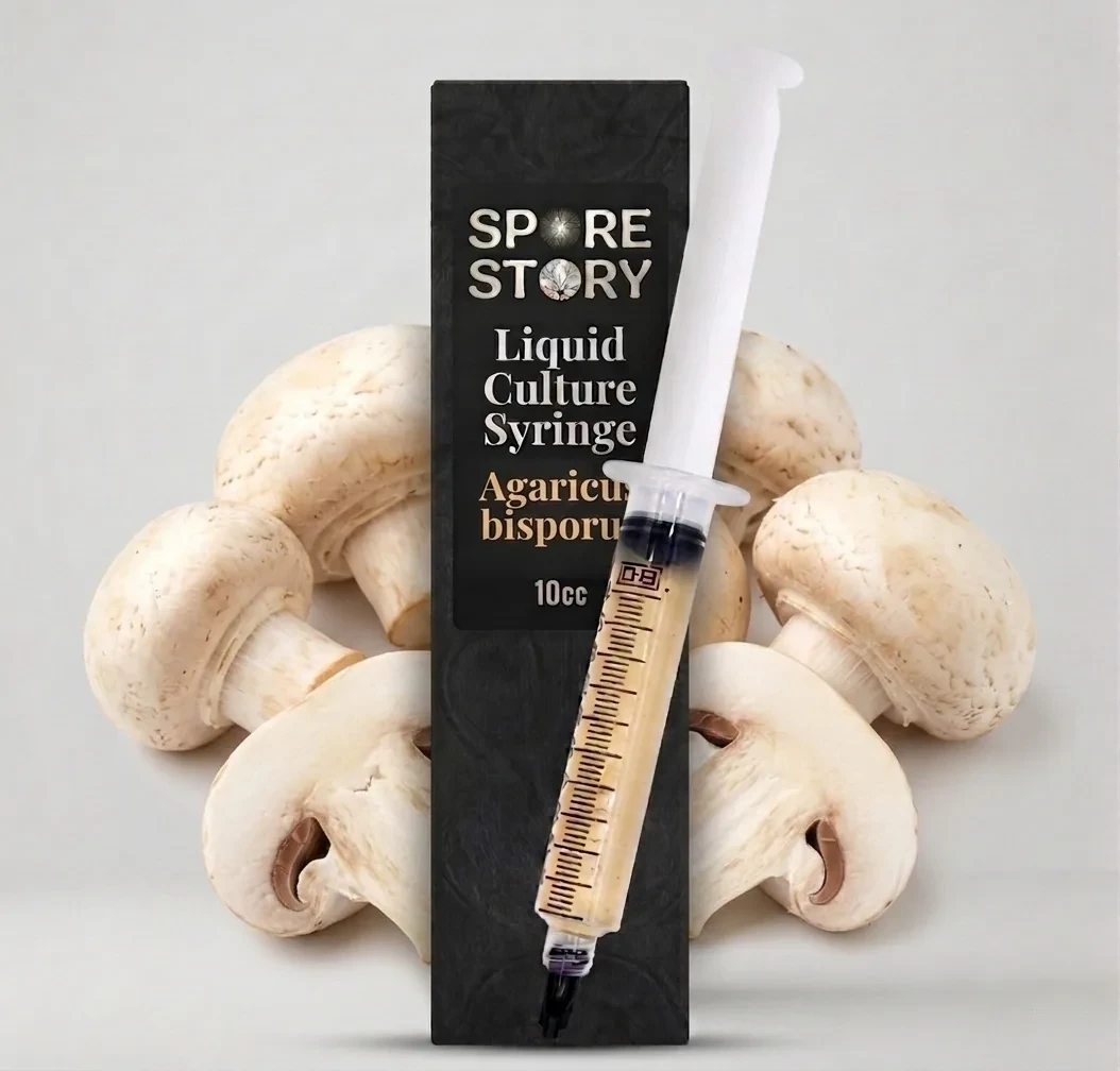 Kültür Mantarı Sıvı Misel — Agaricus bisporus