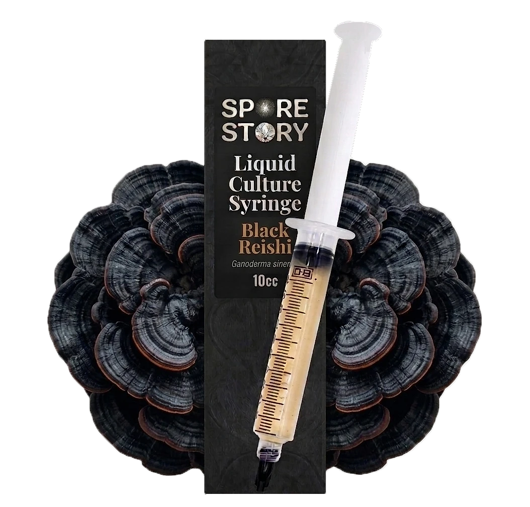 SporeStory Black Reishi sıvı misel şırıngası